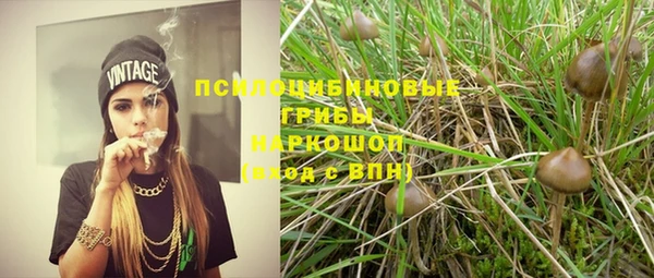 соль курить ск Белокуриха