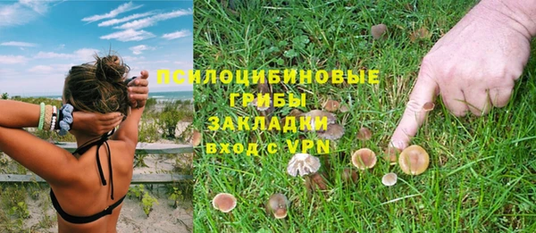 бошки Сатка