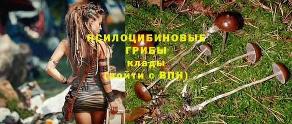 каннабис Беломорск