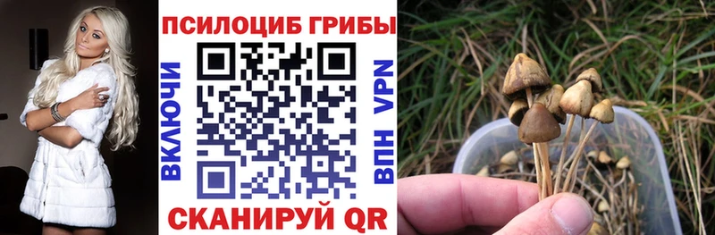 Псилоцибиновые грибы GOLDEN TEACHER  Очёр 